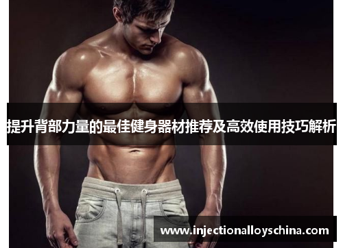 提升背部力量的最佳健身器材推荐及高效使用技巧解析