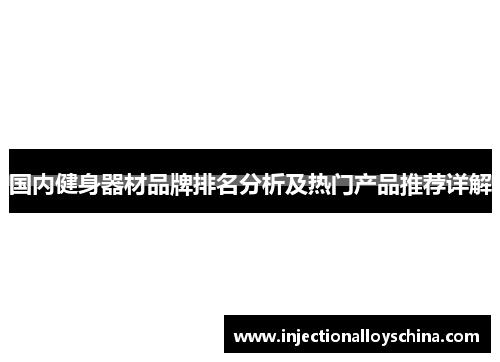 国内健身器材品牌排名分析及热门产品推荐详解