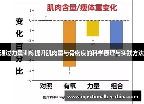 通过力量训练提升肌肉量与骨密度的科学原理与实践方法
