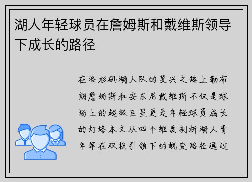 湖人年轻球员在詹姆斯和戴维斯领导下成长的路径