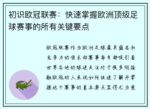 初识欧冠联赛：快速掌握欧洲顶级足球赛事的所有关键要点