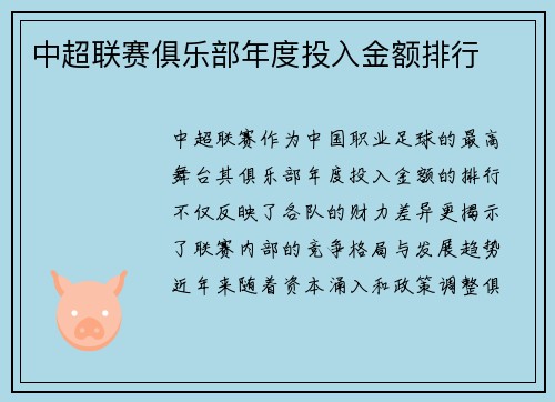 中超联赛俱乐部年度投入金额排行