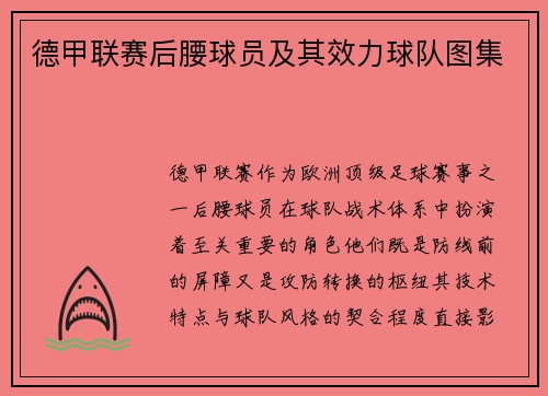 德甲联赛后腰球员及其效力球队图集
